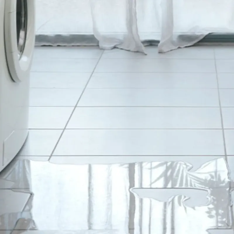 Appliance Leak Cleanup in Crockett County, TN