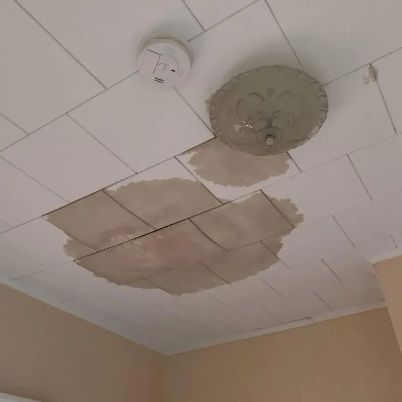 Ceiling Water Damage Repair in Crockett County, TN