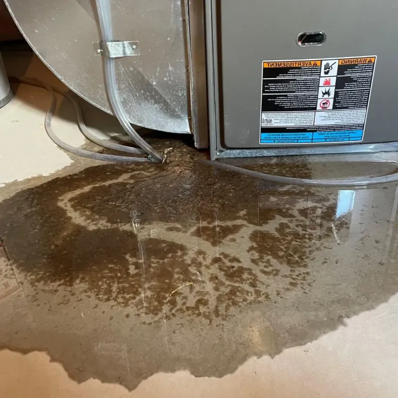 Pipe Burst and Leak Restoration in Crockett County, TN