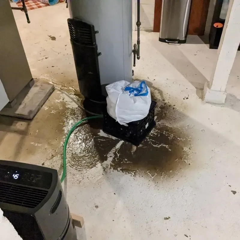 Sewage Backup Cleanup Service in Crockett County, TN